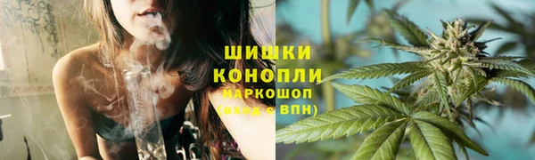 гидра Алексеевка