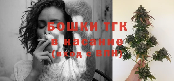 крисы Алексин