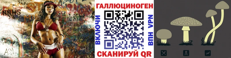 как найти наркотики  Черноголовка  Галлюциногенные грибы Psilocybine cubensis 